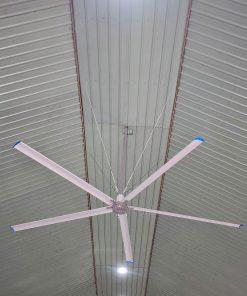 Quạt trần sải cánh 5m z6421913439977 bf9fcf1baca287f6a2055e371c32a5be